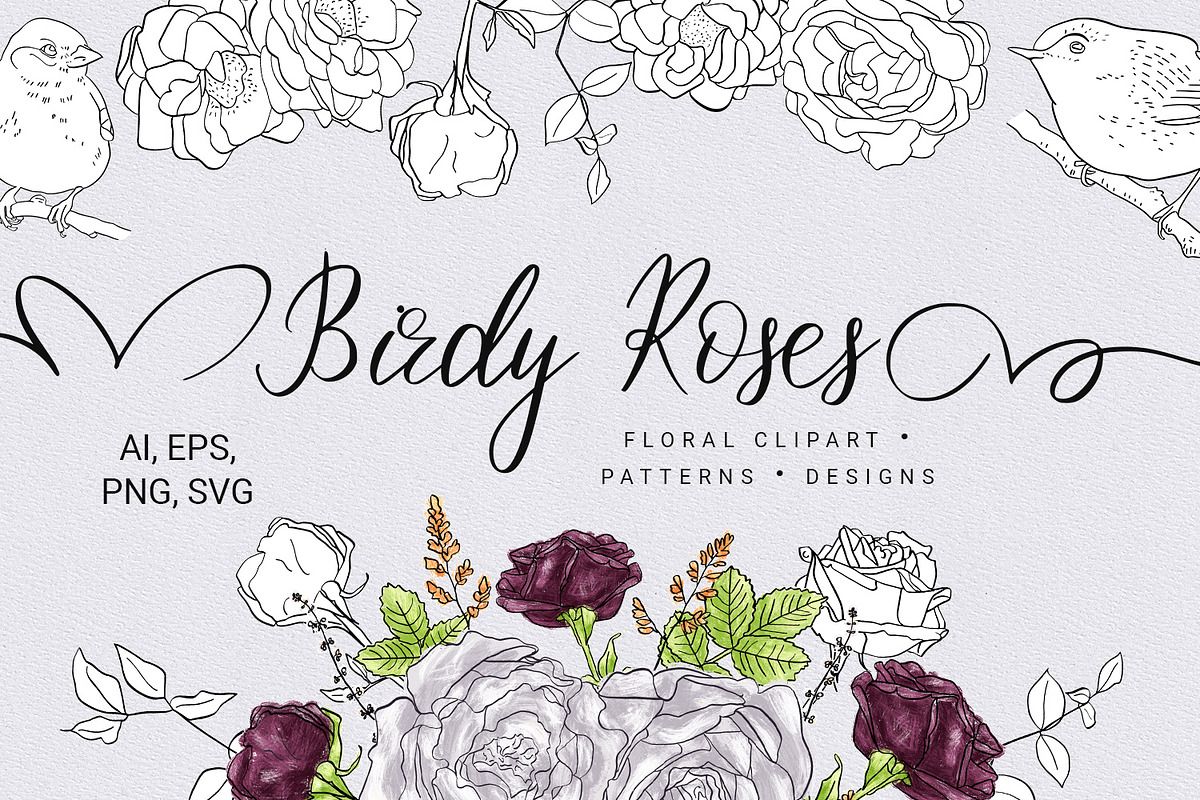 Birdy Roses Collection in Illustrations - product preview 8
