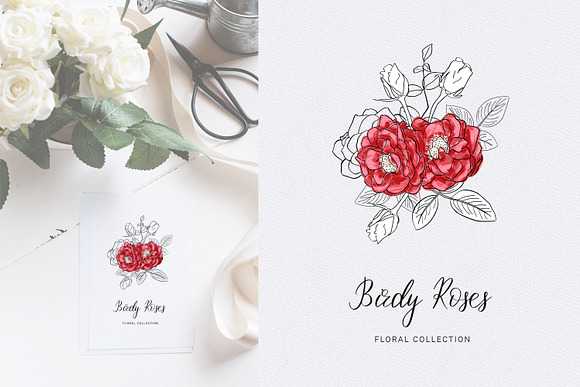 Birdy Roses Collection in Illustrations - product preview 1
