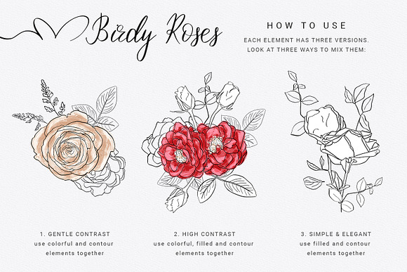 Birdy Roses Collection in Illustrations - product preview 7