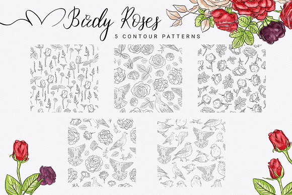 Birdy Roses Collection in Illustrations - product preview 8