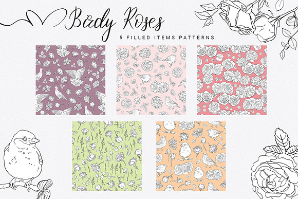 Birdy Roses Collection in Illustrations - product preview 9