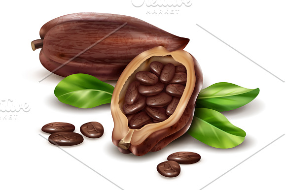 Cocoa Products Set in Illustrations - product preview 1
