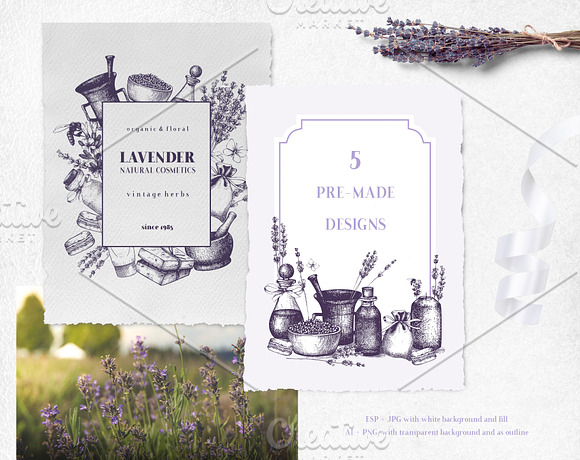 Hand Drawn Lavender Illustrations in Illustrations - product preview 2