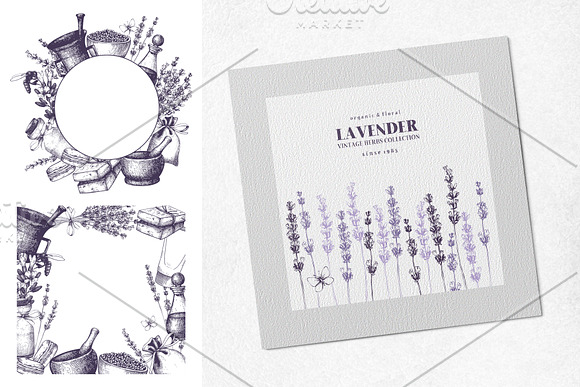 Hand Drawn Lavender Illustrations in Illustrations - product preview 3