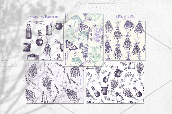 Hand Drawn Lavender Illustrations in Illustrations - product preview 4