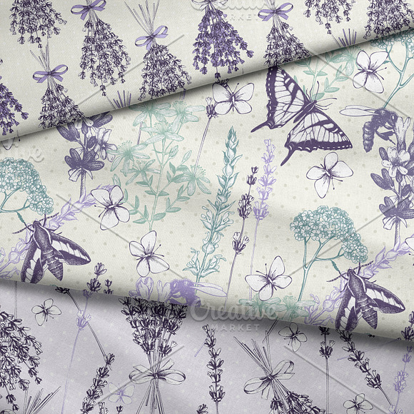 Hand Drawn Lavender Illustrations in Illustrations - product preview 5