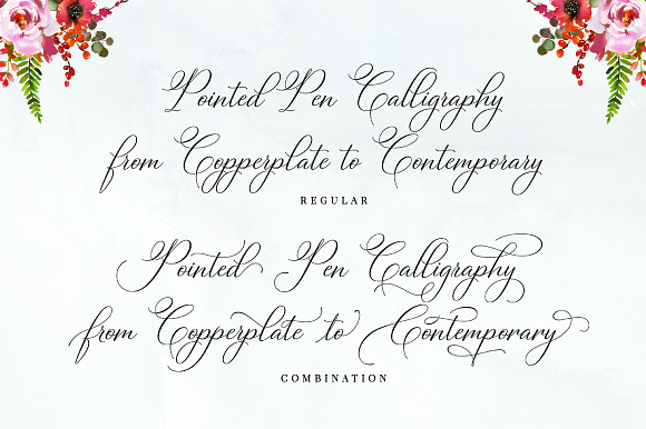 Bettrisia Script in Elegant Fonts - product preview 9