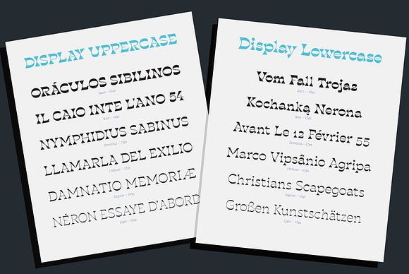 Blackest - 8 fonts in Display Fonts - product preview 7