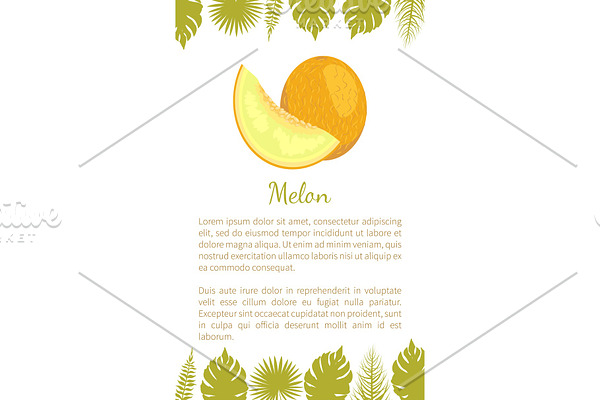 Melon Exotic Juicy Stone Fruit