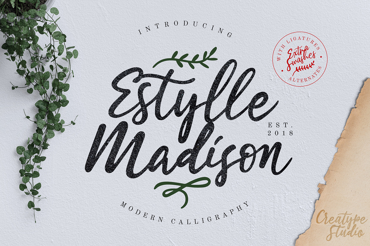 Estylle Madison Calligraphy in Script Fonts - product preview 8