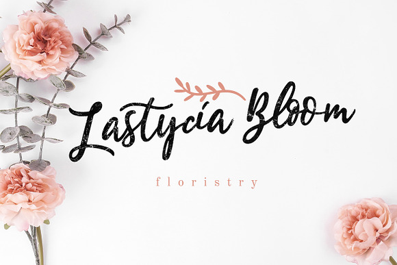 Estylle Madison Calligraphy in Script Fonts - product preview 4