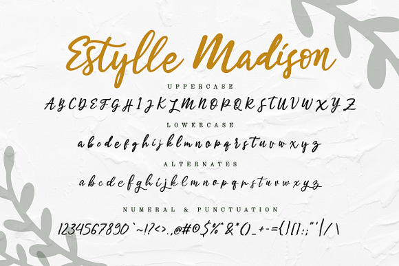 Estylle Madison Calligraphy in Script Fonts - product preview 11