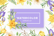Watercolor Daffodils Set