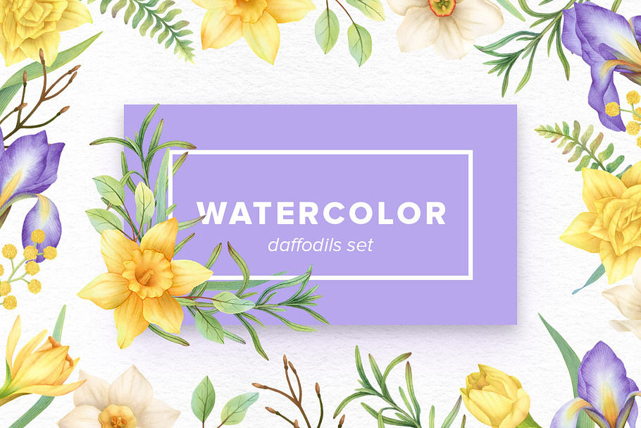 Watercolor Daffodils Set