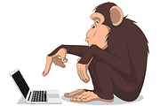 Monkey and computer