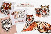 Animals: Tigers Watercolor png 