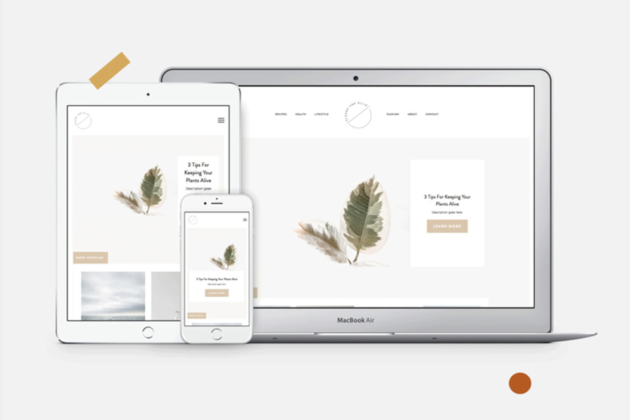 Sloane & Ollie Squarespace Template