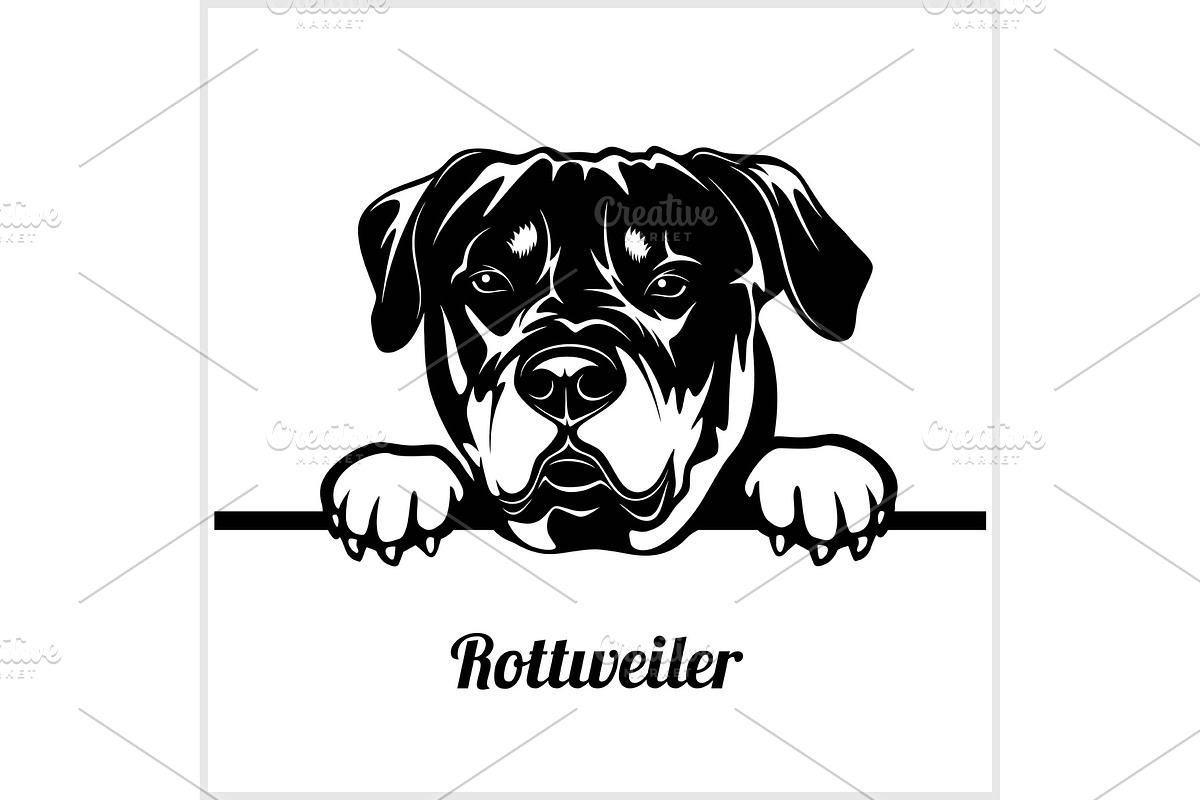 Rottweiler - Peeking Dogs - breed in Illustrations - product preview 8