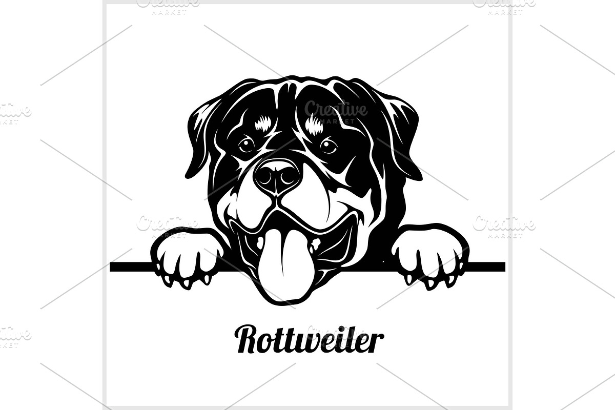 Rottweiler - Peeking Dogs - breed in Illustrations - product preview 8