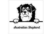 Australian Shepherd - Peeking Dogs -
