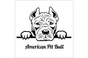 American Pit Bull - Peeking Dogs -