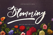 Blomming - Brush Font