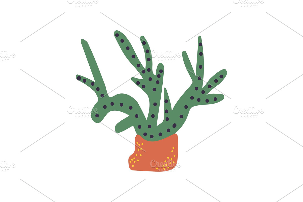Green Seaweeds, Marine or Aquarium in Illustrations - product preview 8