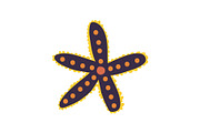 Starfish, Seaweed, Marine or Ocean