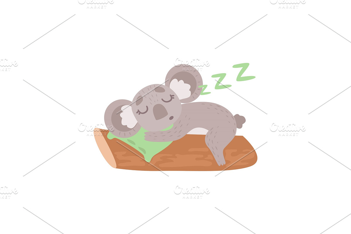 Cute Koala Bear Sleeping on Tree in Illustrations - product preview 8