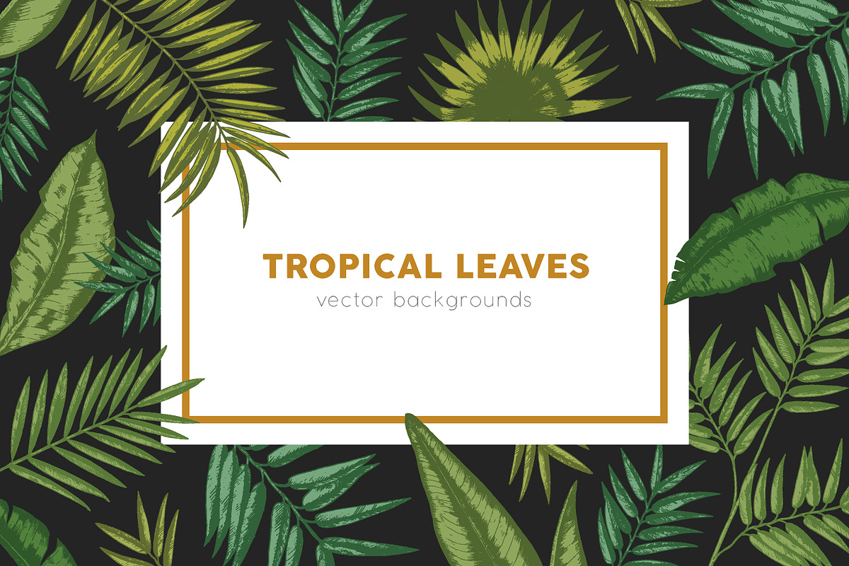 Tropical leaves backgrounds in Illustrations - product preview 8