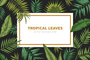 Tropical leaves backgrounds