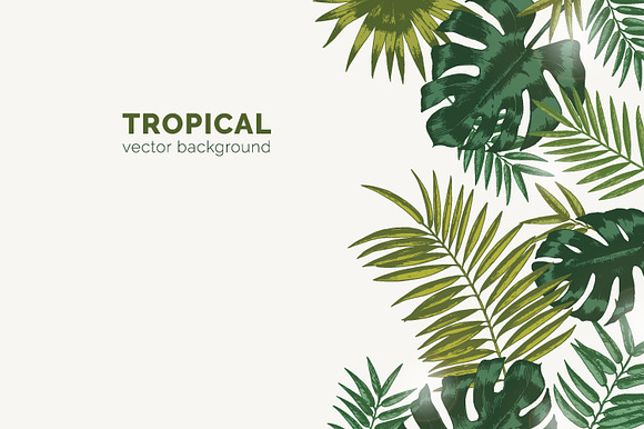Tropical leaves backgrounds in Illustrations - product preview 1