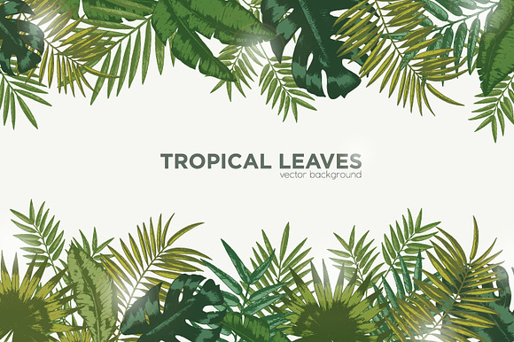 Tropical leaves backgrounds in Illustrations - product preview 3