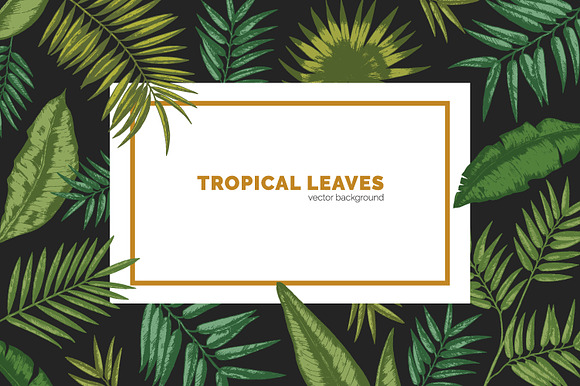 Tropical leaves backgrounds in Illustrations - product preview 5