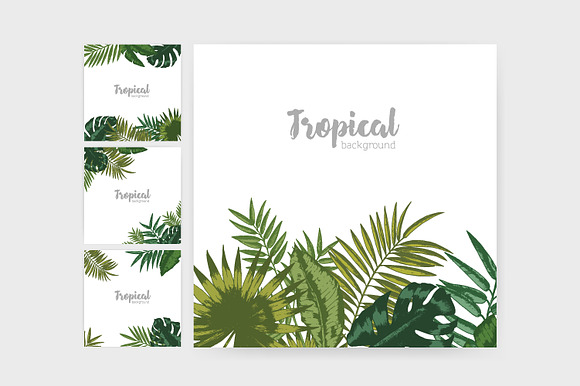 Tropical leaves backgrounds in Illustrations - product preview 6
