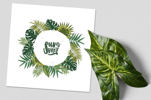 Tropical leaves backgrounds in Illustrations - product preview 17