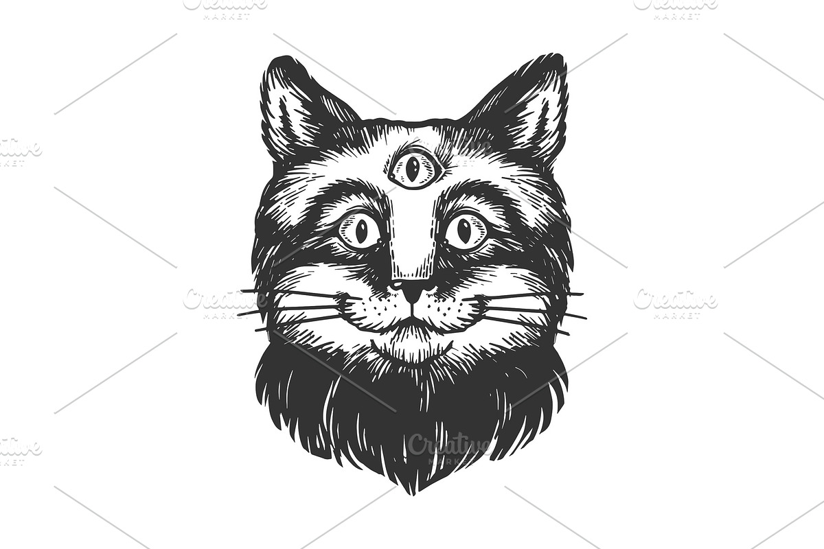 Cat with three eyes engraving in Illustrations - product preview 8