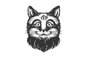 Cat with three eyes engraving