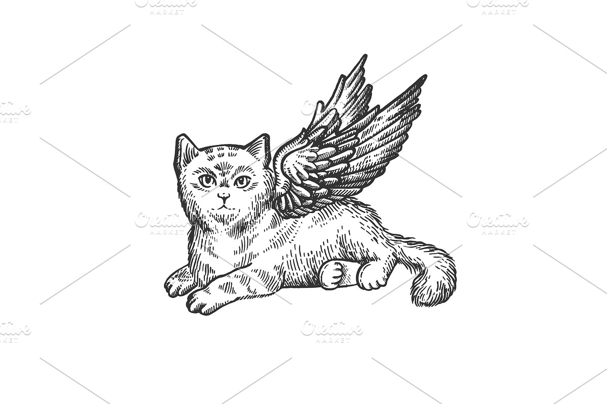 Angel flying kitten sketch engraving in Illustrations - product preview 8