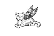 Angel flying kitten sketch engraving
