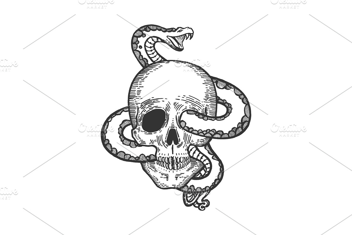 Snake in human skull sketch vector in Illustrations - product preview 8