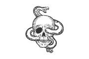 Snake in human skull sketch vector