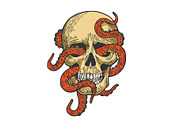 Octopus in human skull color sketch