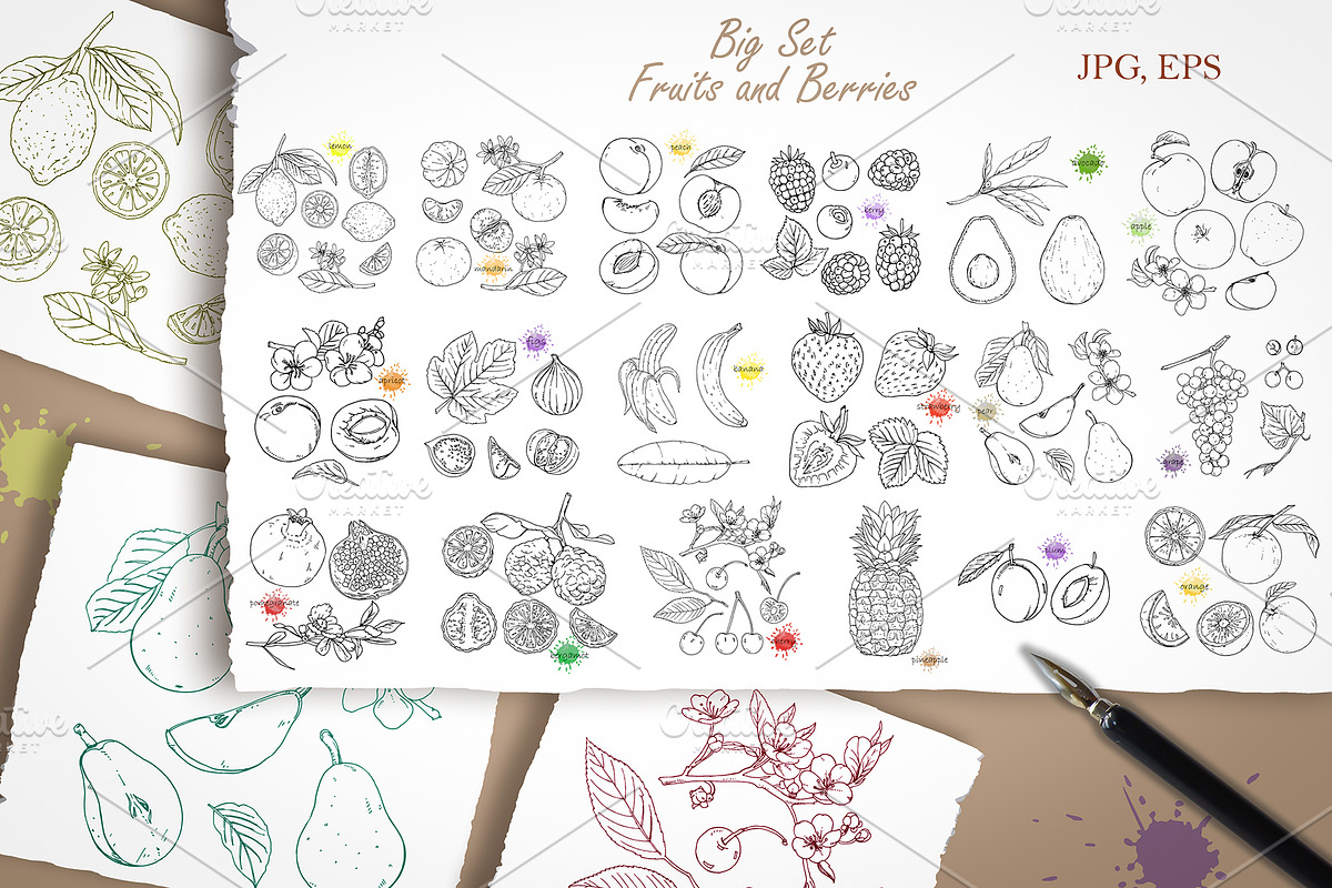 Big Set // Fruits and Berries in Illustrations - product preview 8