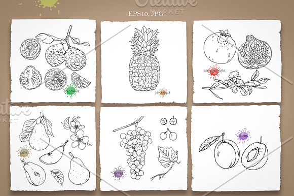 Big Set // Fruits and Berries in Illustrations - product preview 2