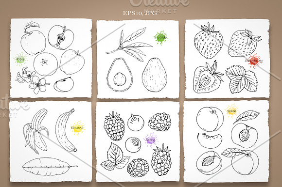 Big Set // Fruits and Berries in Illustrations - product preview 3