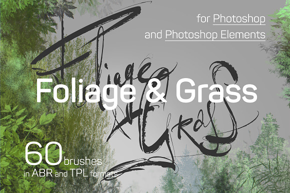 60 Photoshop Foliage & Grass brushes in Photoshop Brushes - product preview 4
