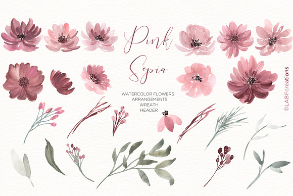 Pink Sepia. Watercolor Flowers in Illustrations - product preview 4