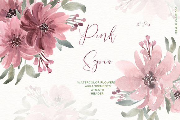 Pink Sepia. Watercolor Flowers in Illustrations - product preview 5