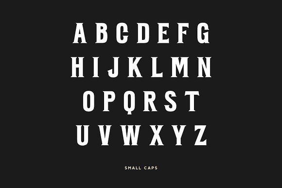 BARBER - Vintage Serif  in Display Fonts - product preview 3